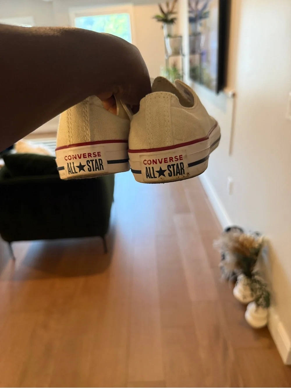 Converse low top